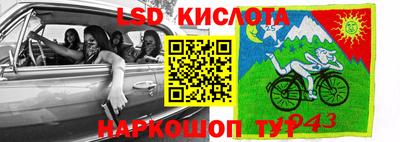 сатива Можга