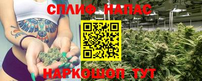 сатива Можга