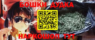 сатива Можга