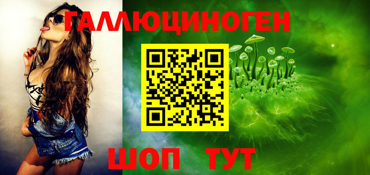 Галлюциногенные грибы мицелий  что такое   Вход с VPN  Алапаевск  Галлюциногенные грибы Psilocybe 